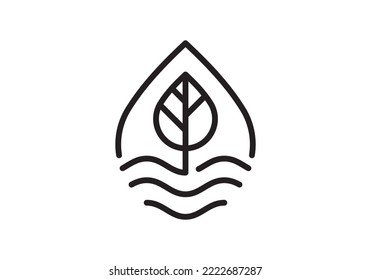 illustration vector graphic water drops and leaves