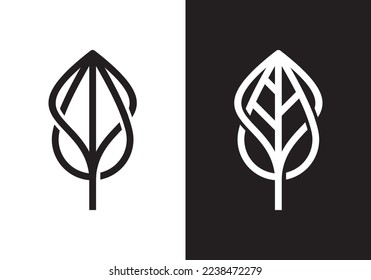 illustration vector graphic water drops and leaves