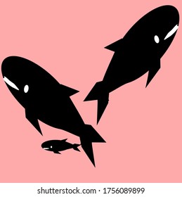 illustration vector graphic of whale concept design with red background