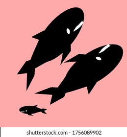 illustration vector graphic of whale concept design with red background