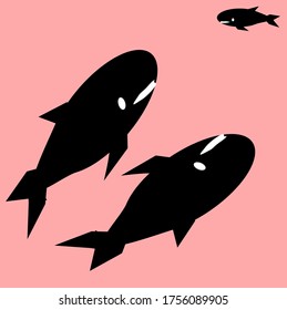 illustration vector graphic of whale concept design with red background