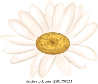 Illustration vector graphic of white daisy petals. Good for decorative design.