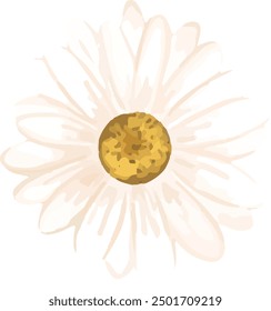 Illustration vector graphic of white daisy petals. Good for decorative design.