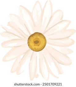 Illustration vector graphic of white daisy petals. Good for decorative design.