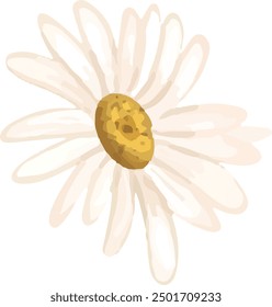 Illustration vector graphic of white daisy petals. Good for decorative design.