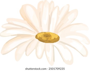 Illustration vector graphic of white daisy petals. Good for decorative design.