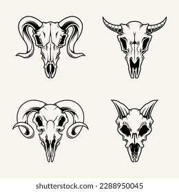 Illustration vector graphic of wild animal skull suitable for t-shirt design