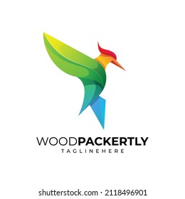 illustration vector graphic of woodpecker multicolor logo template