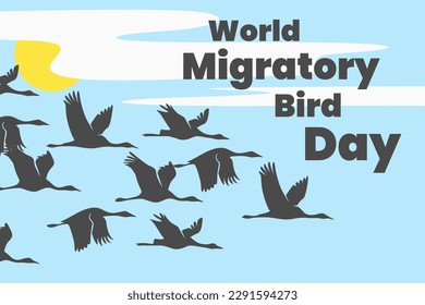 Illustration vector graphic of world migratory bird day. Good for poster