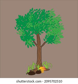 ILLUSTRATION VECTOR GRAPHICH 0F TREE