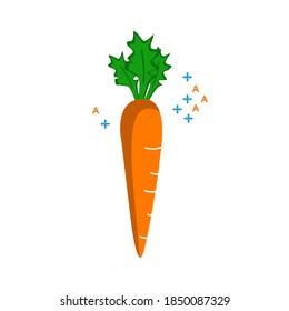 Illustration vector graphich of 
carrot. Good for nutrition, vitamin, poster, slogan, cover