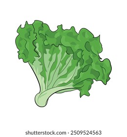 Ilustración Vector Gráfico de lechuga Bueno para la naturaleza Símbolo o etc