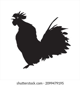 illustration vector graphics chicken silhouette