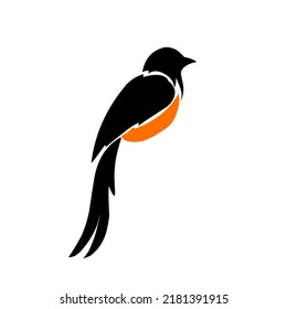 Illustration vector graphics of design magpie bird perfect for logo