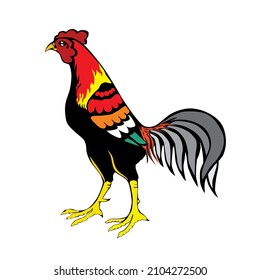 illustration vector graphics of rooster