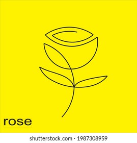 Illustration vector graphics of rose Healthy, Roses have many benefits for health and beauty. Roses for Aromatherapy The fragrant smell can calm the mind, breathe and absorb the aroma of roses to calm you