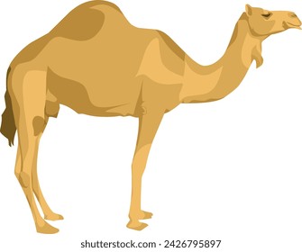 Illustration vector grapich of camel, background white,illustration vector flat 