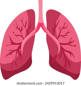 Illustration vector grapich of lungs, background white, illustration vector flat 