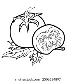 Illustration vector grapich of a tomato sketch