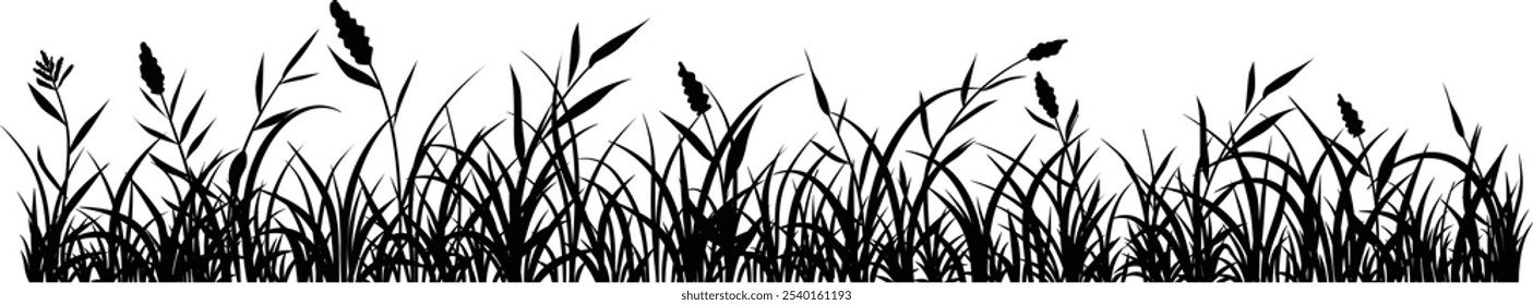 Illustration vector of grass silhouette border, meadow springtime, Turf environment decoration element, Prairie black monochrome Background