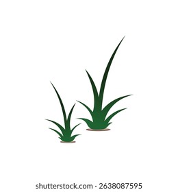 Illustration vector of green grass plant isolated on white