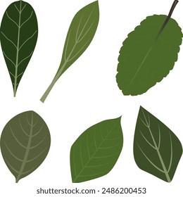 The illustration vector of green leaves