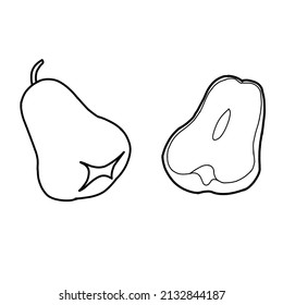 Illustration vector of guava fruit