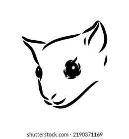 illustration vector hand draw doodles of flying squirrel or Pteromyini or Petauristini isolated on white background