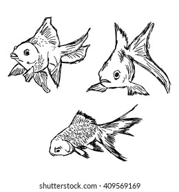 illustration vector hand draw doodles of gold fish set isolated on white background