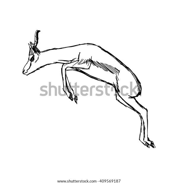 how to draw a gazelle