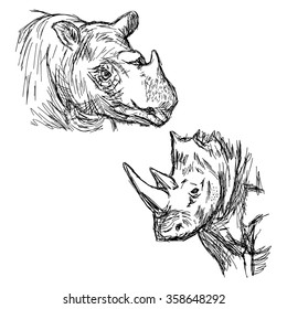 illustration vector hand drawn doodle closeup rhinoceros isolated on white