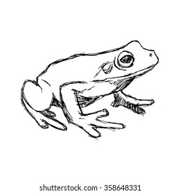 Doodle Frog Images Stock Photos Vectors Shutterstock