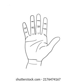 Illustration Vector Hand Pose Various Symbols Stock Vector (Royalty ...