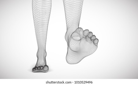 Illustration of a vector of human feet walking along the background.