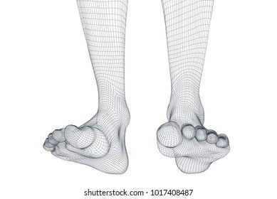 Illustration of a vector of human feet walking along the background.