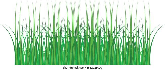 Illustration vector icon of green grass for various uses
