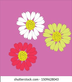 illustration of a vector with images of flowers