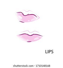 illustration vector images of lips on white background