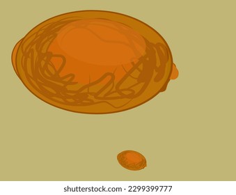 illustration, vector Intestinal worm eggs in human feces.