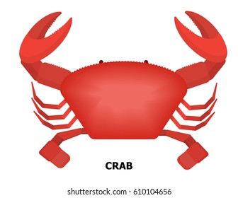 Illustration vector isolated of grilled red crab on white background.