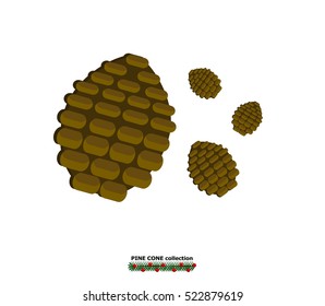 Illustration vector isolated of pine cone.