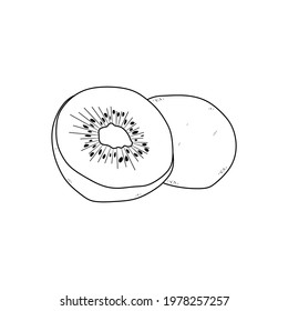 illustration vector of kiwi fruit. kiwi line icon. kiwi symbol. suitable for coloring book