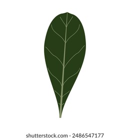 an illustration vector of leaf