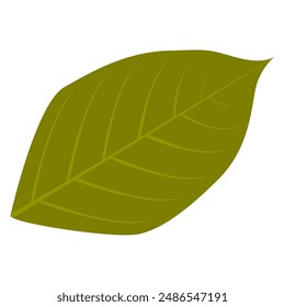 an illustration vector of leaf