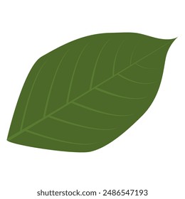 an illustration vector of leaf