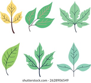 Illustration Vector Of Leaf Design Element