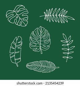 Illustration vector of leaf line art
