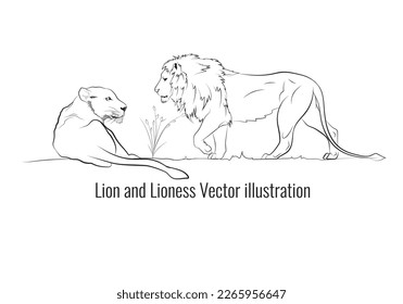 An illustration of vector lion and lioness, Wildlife vector drawing, Elements for creating wild logo