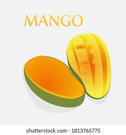 illustration vector of mango isolated on white background. eps 10