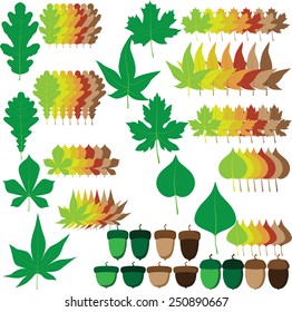 Illustration / vector. Many colors of leaves. Autumn decoration. 